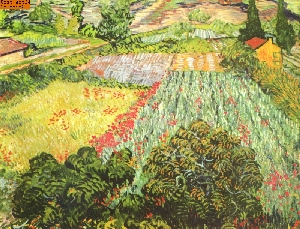 Das Mohnblumenfeld nach van Gogh